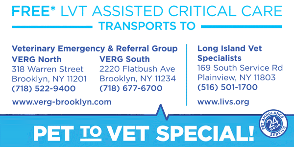 pet to vet specials to locations LIVS, BARC Long Island Vet or Brooklyn North, South Critical Care Transport