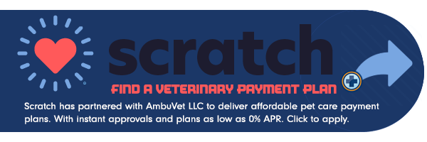 ambuvet partner with scratch to find an affordable pet care payment plan in NY. input phone number to receive instant approval, plans as low as 0%. does not affect credit score to search for payment plans. NEW offering from ambuvet to help our clients' pets receive immediate care.