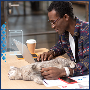 complete a wellness check with AmbuVet™ over a secure, video call with a LVT before scheduling a pick up in the TriState area. For emergency calls please visit our trusted partner Vet Clinics page for after hours emergency advise if you do not receive immediate reply from phone or email call to confirm and complete the pickup. NYC