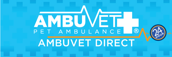 Airline Animal Transport by Ambuvet United States, America animal transport