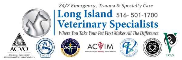 Long Island Veterinary Specialists logo- with 7 logos of accredited colleges & veterinary medicine including animal acpuncture and more ACVO, ACVS, ACCT, ACVIM, IVAS